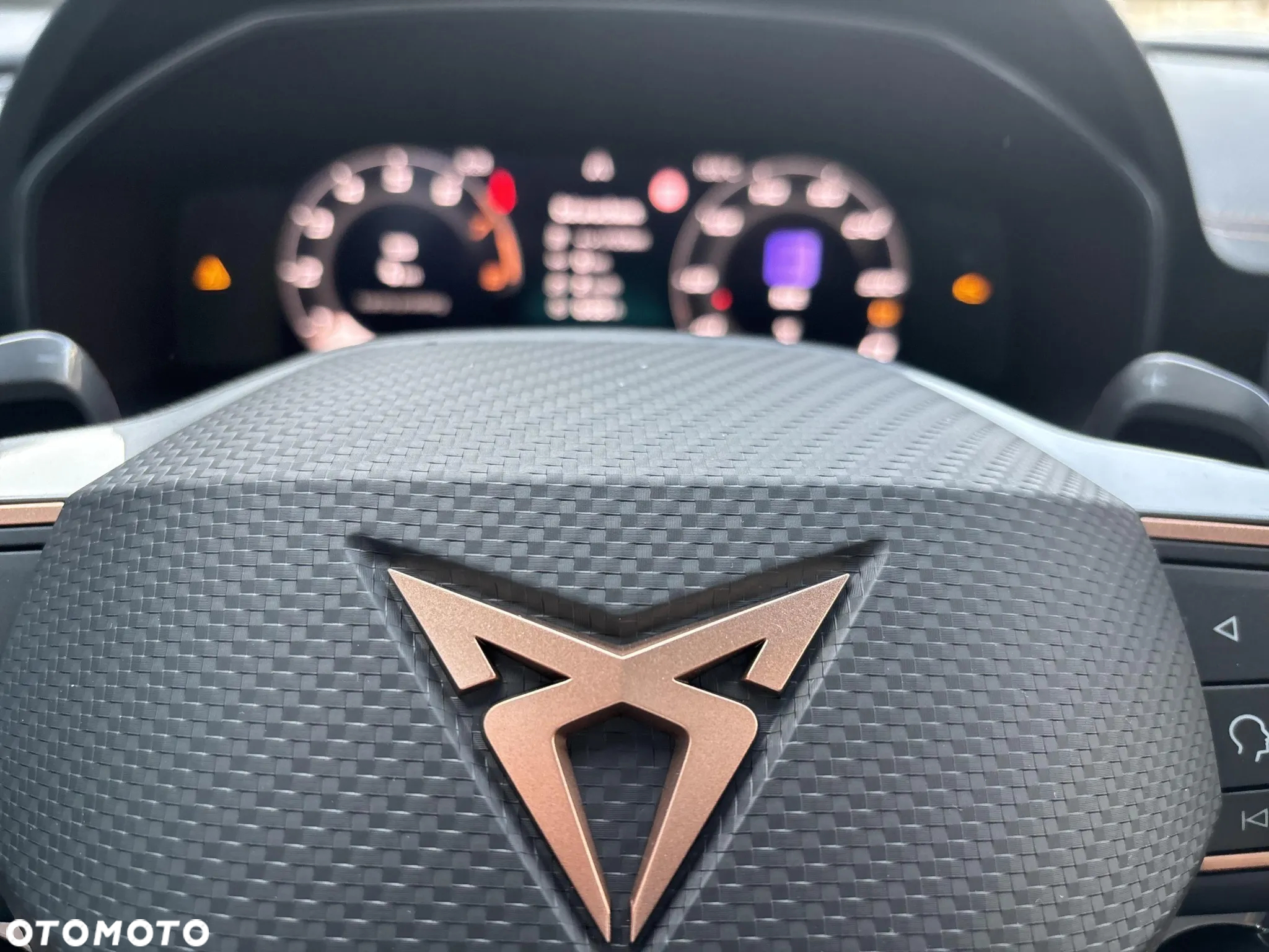 Cupra Formentor 2.0 TSI 4Drive VZ DSG - 17