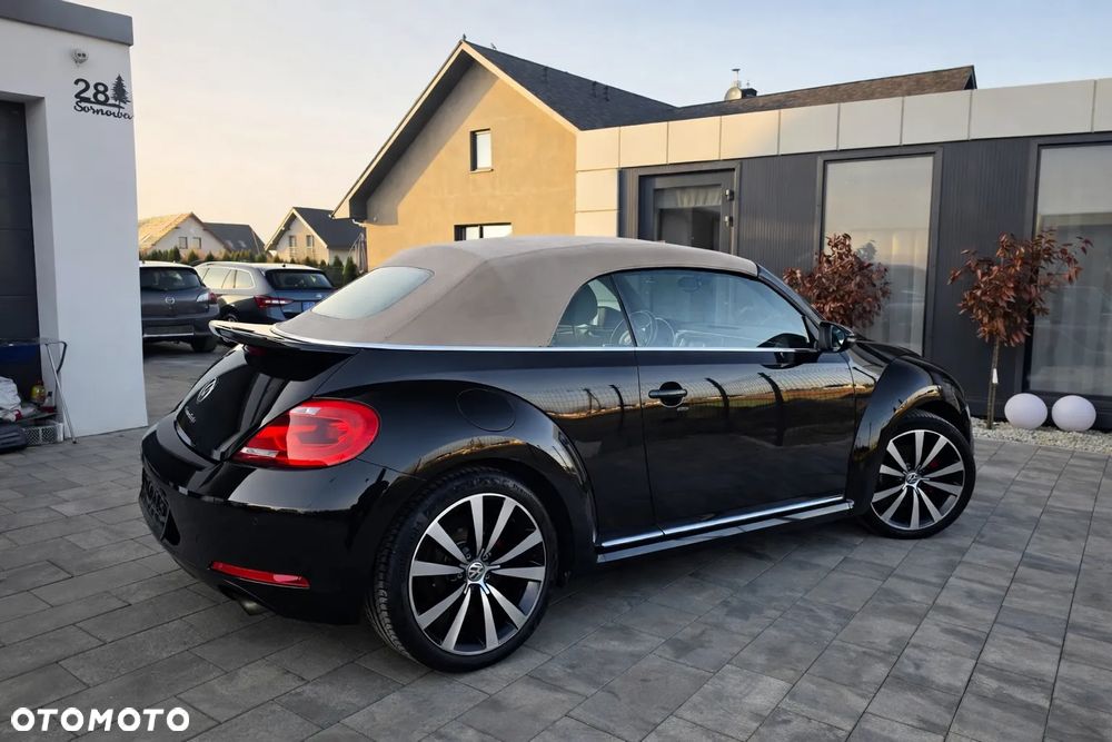 Volkswagen Beetle - 19