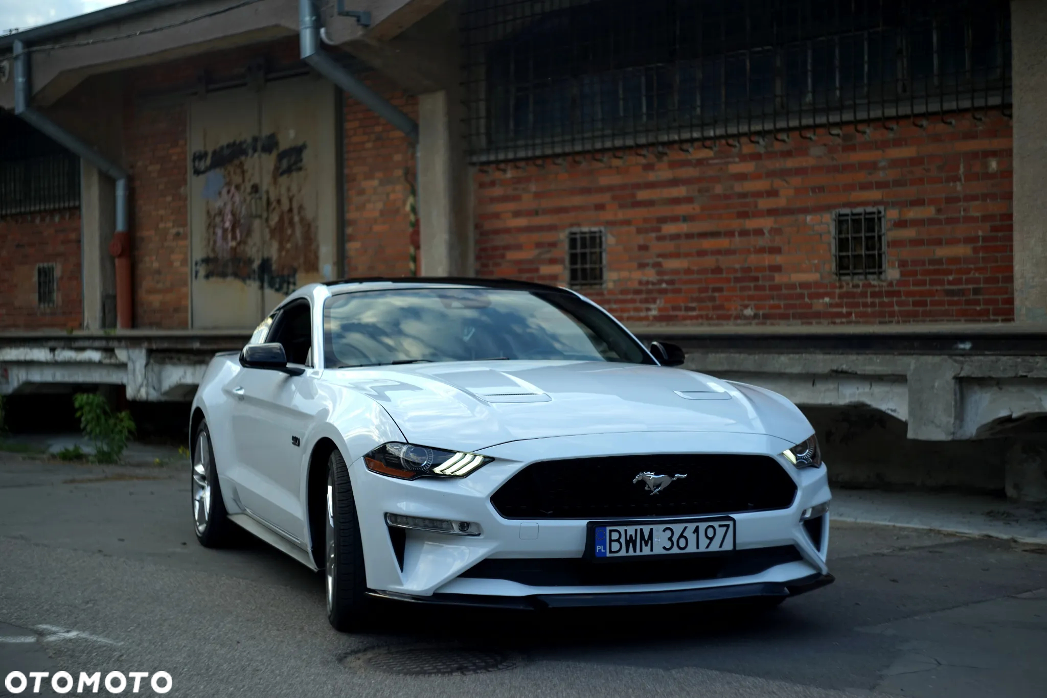 Ford Mustang - 27