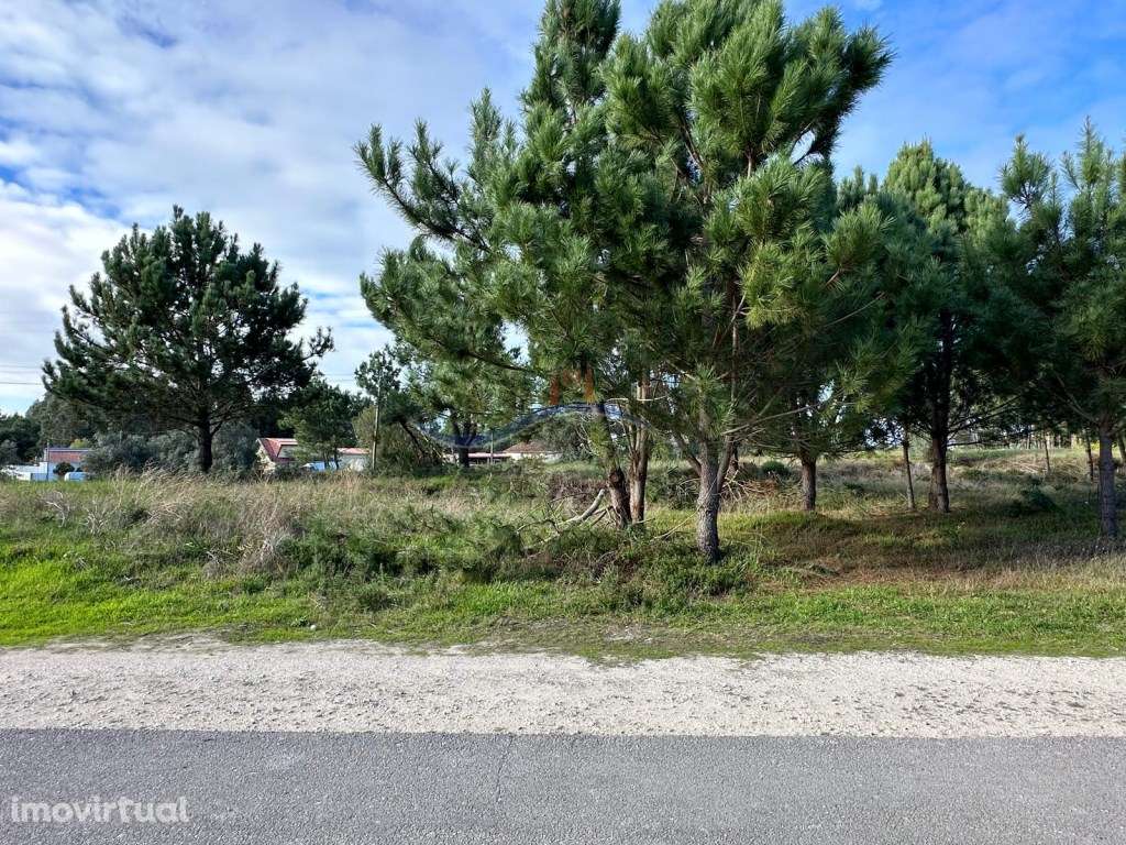 Terreno - Garcia - Grande imagem: 4/19