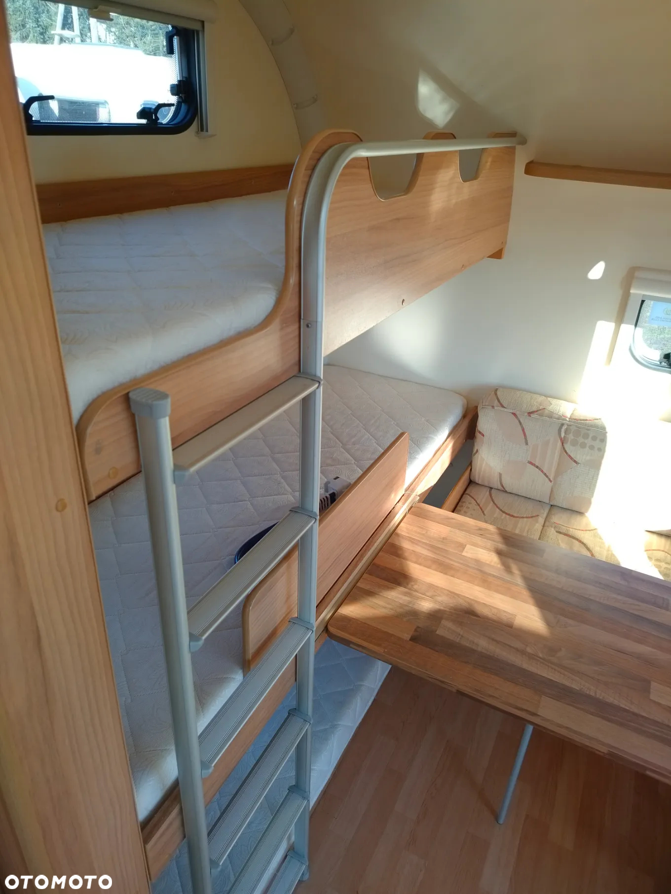 Bailey Orion - 25