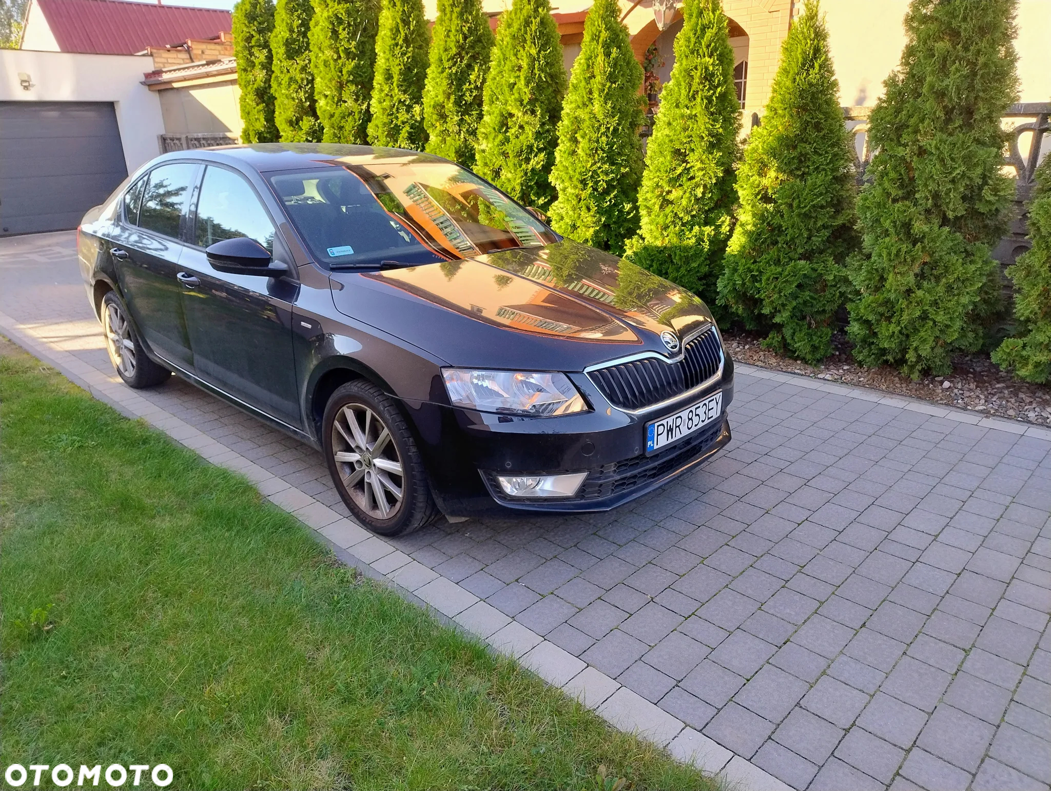 Skoda Octavia 1.4 TSI Joy - 3