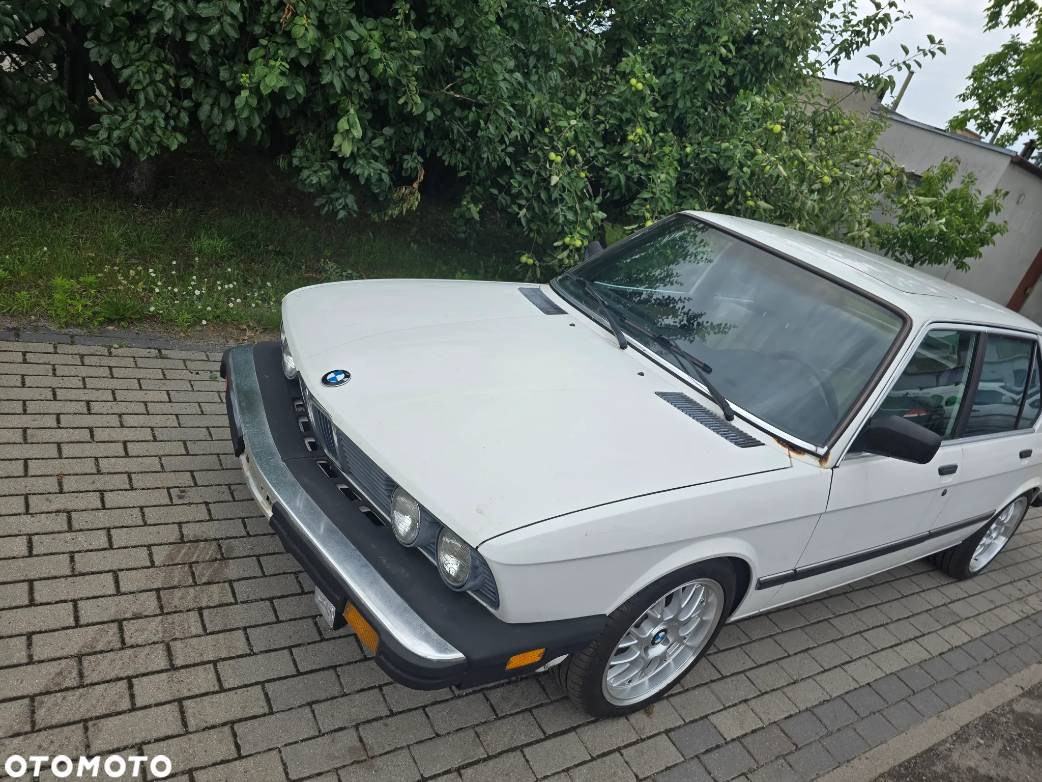 BMW Seria 5 - 4