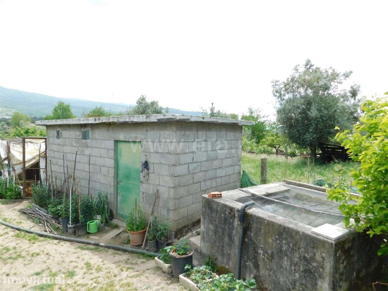 Terreno Rústico / Seia, Pinhanços - Grande imagem: 3/4