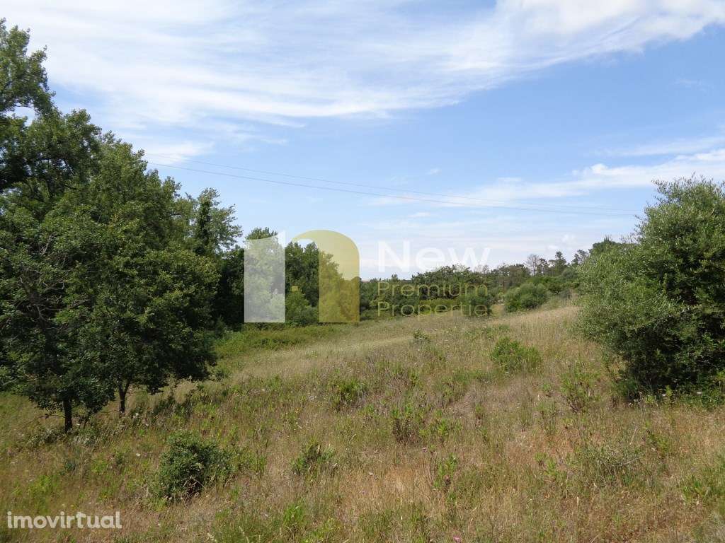 Terreno Urbano no Zambujal de Baixo - Sesimbra. - Grande imagem: 5/17