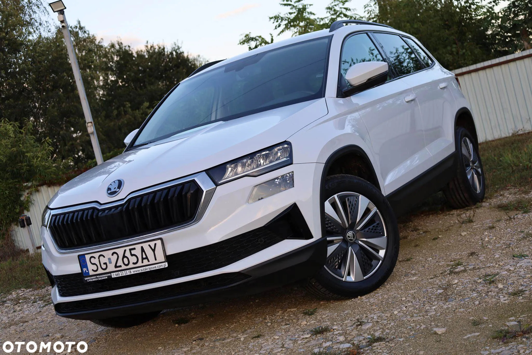 Skoda Karoq 2.0 TDI SCR 4x2 Ambition DSG - 2