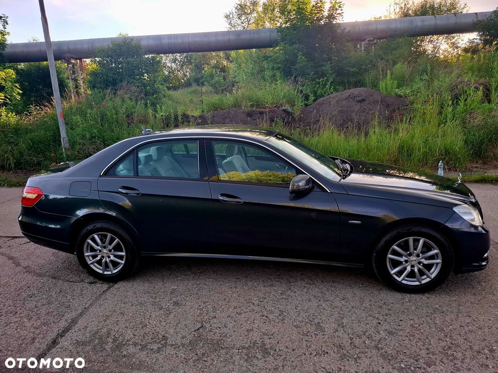 Mercedes-Benz Klasa E 220 CDI DPF BlueEFFICIENCY Elegance - 5