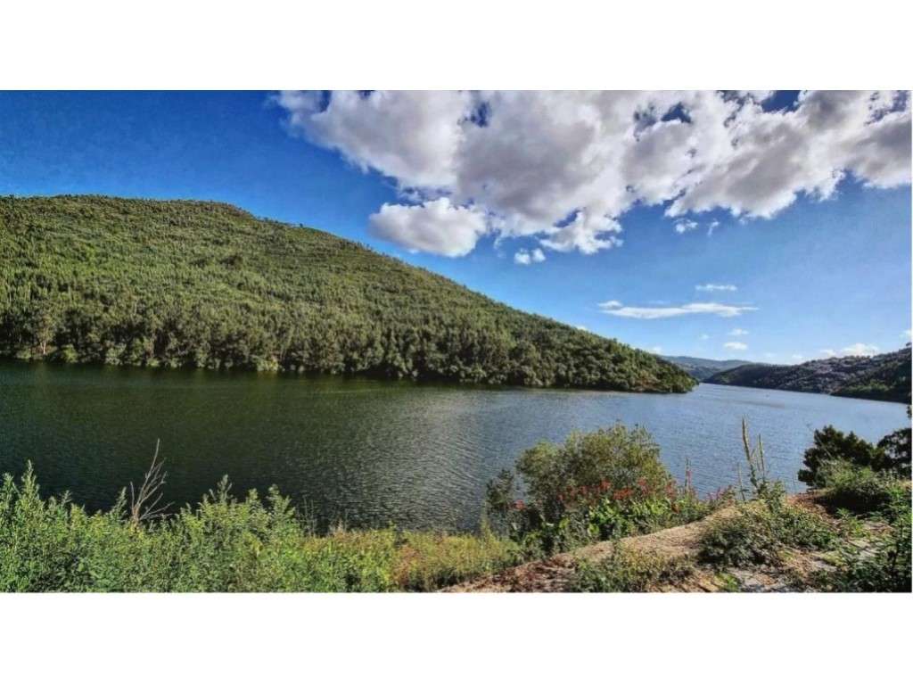 Quinta com 10 quartos e praia privativa | Douro, Penafiel - Grande imagem: 4/8