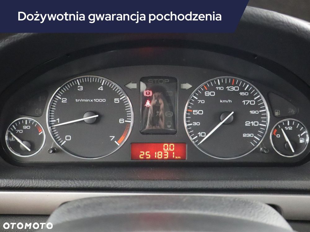 Peugeot 407 - 13
