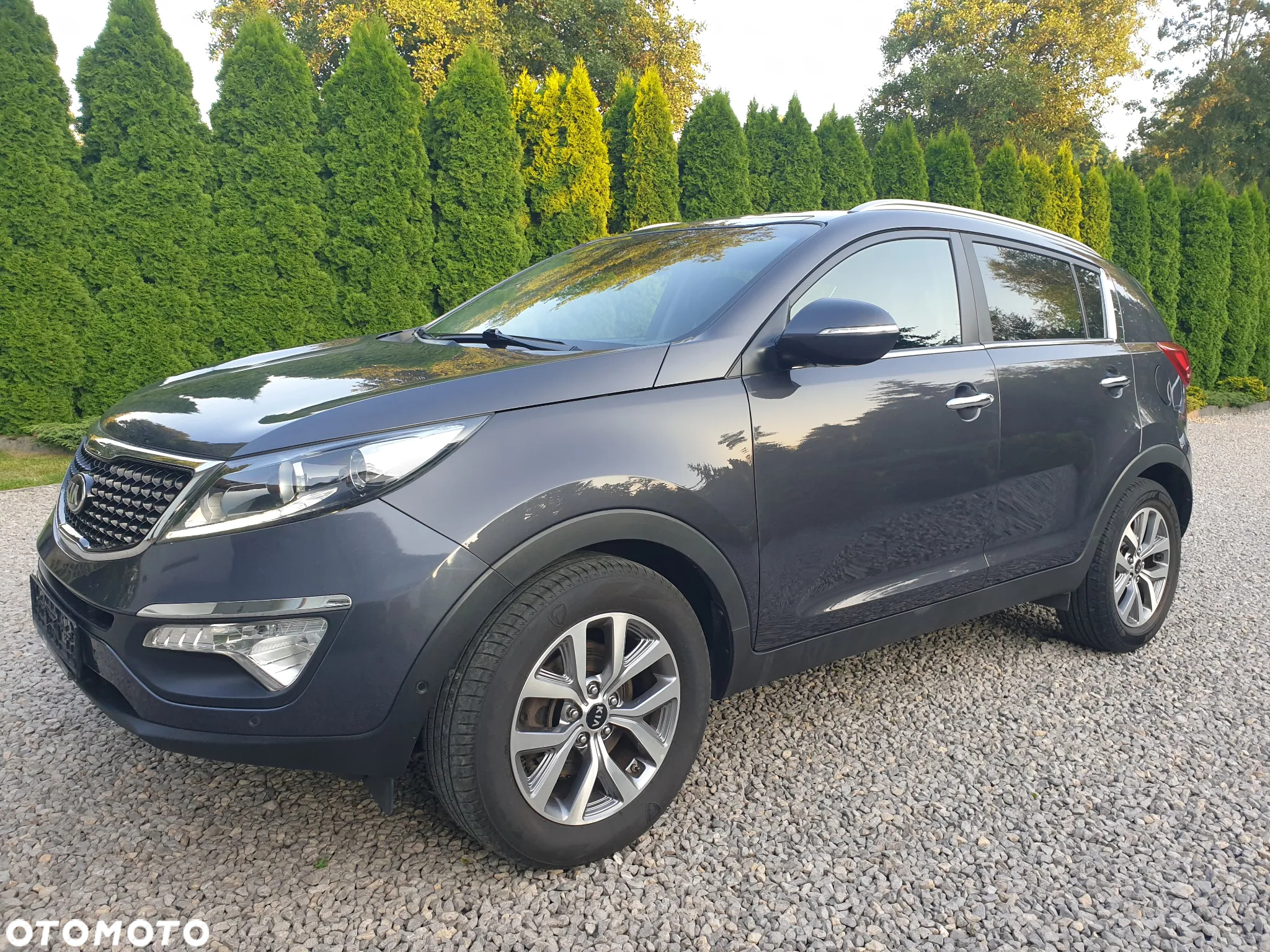 Kia Sportage 1.6 GDI Business Line M 2WD - 4