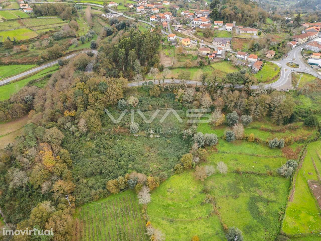 Terreno Rústico  Venda em Vade,Vila Verde - Grande imagem: 4/21