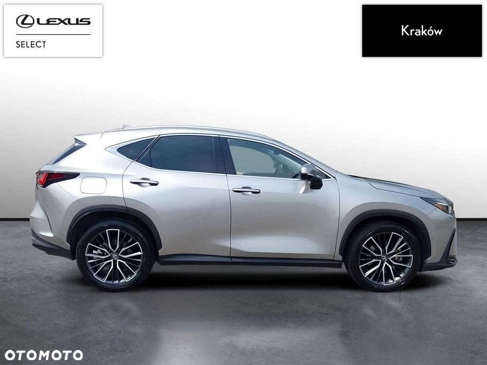 Lexus NX - 6