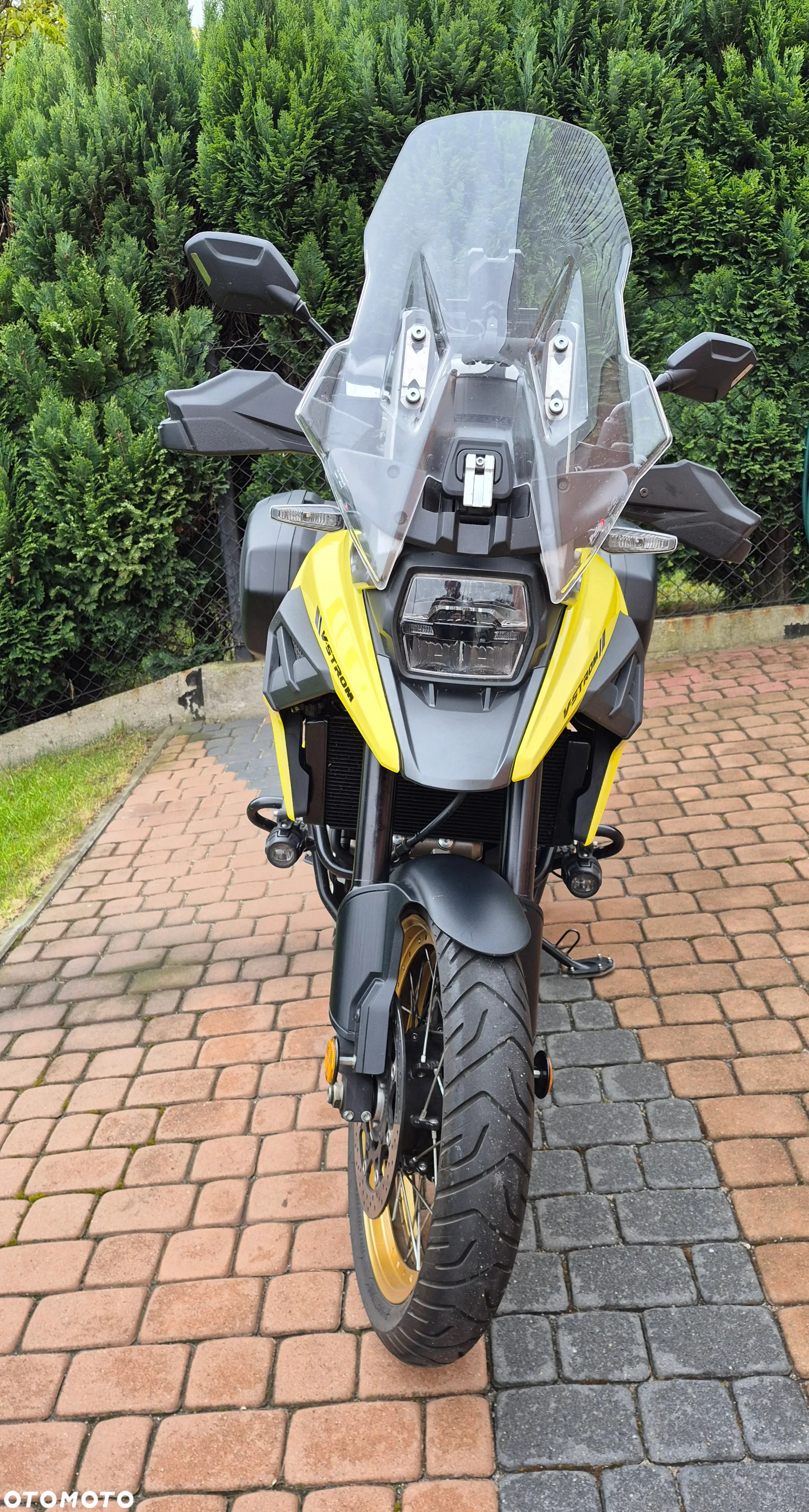Suzuki DL - 8