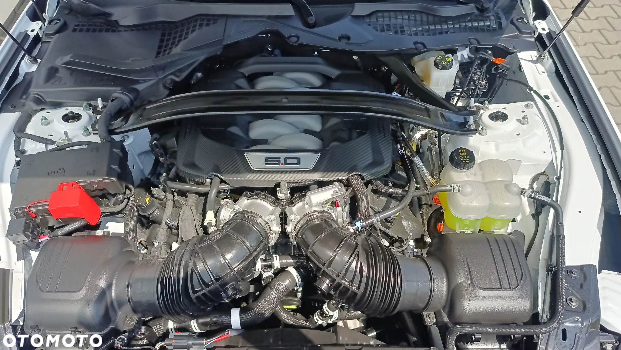 Ford Mustang 5.0 Ti-VCT V8 GT - 9
