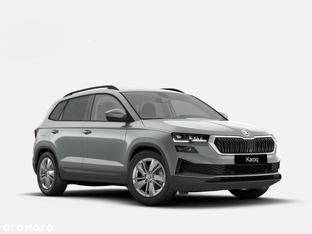 Skoda Karoq - 2