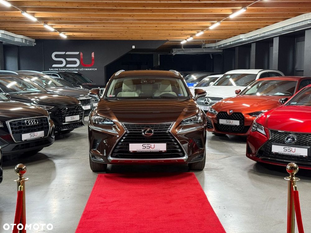 Lexus NX 300 Comfort AWD - 6
