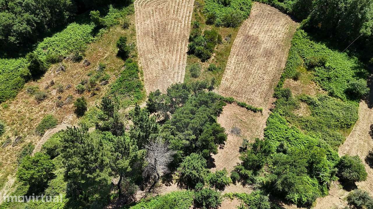 Terreno  para venda - Grande imagem: 3/12