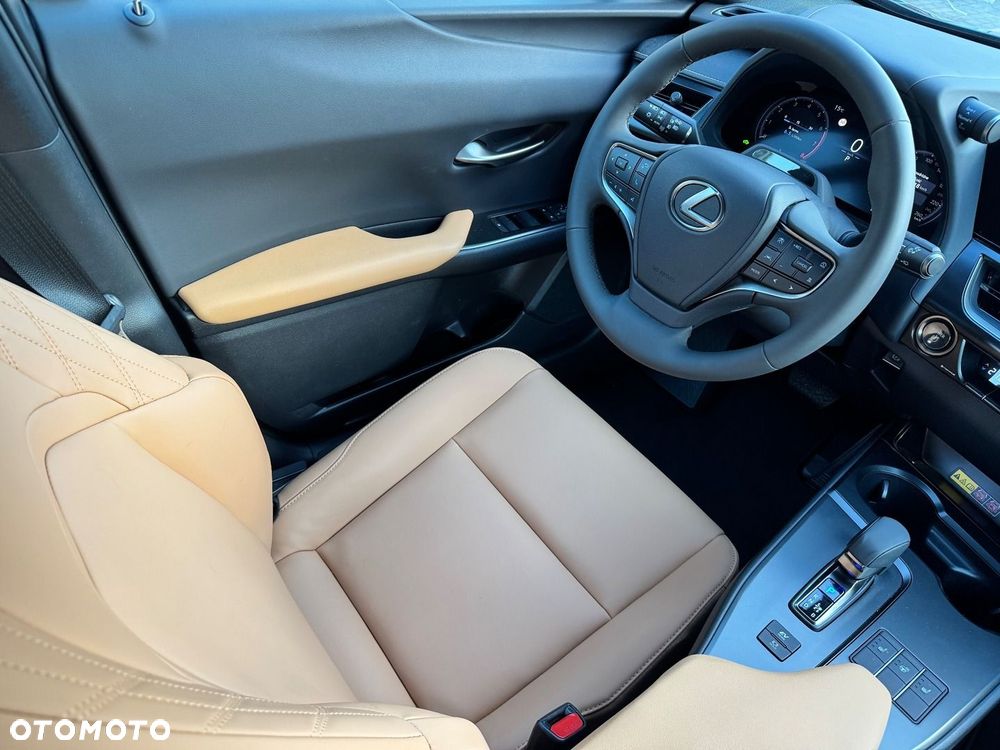 Lexus UX 300h F Sport Design - 13