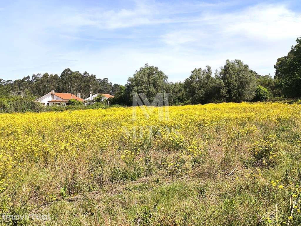 Terreno de construção para venda em Vila Fria - Viana do Castelo - Grande imagem: 3/10
