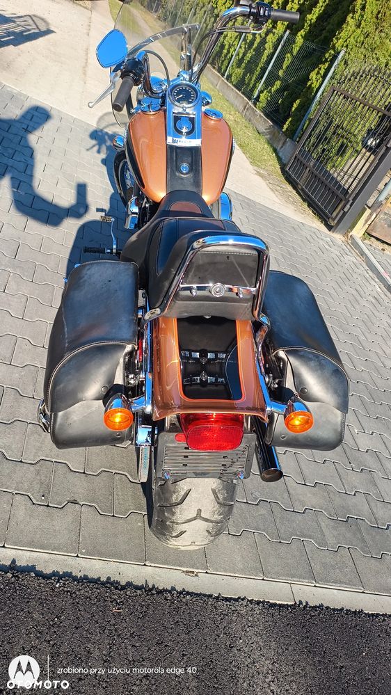 Harley-Davidson Softail Custom - 4