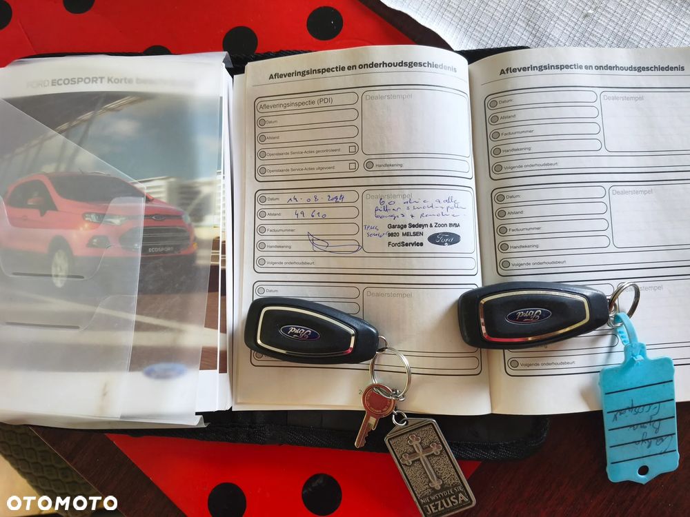Ford EcoSport 1.0 EcoBoost Trend ASS - 24