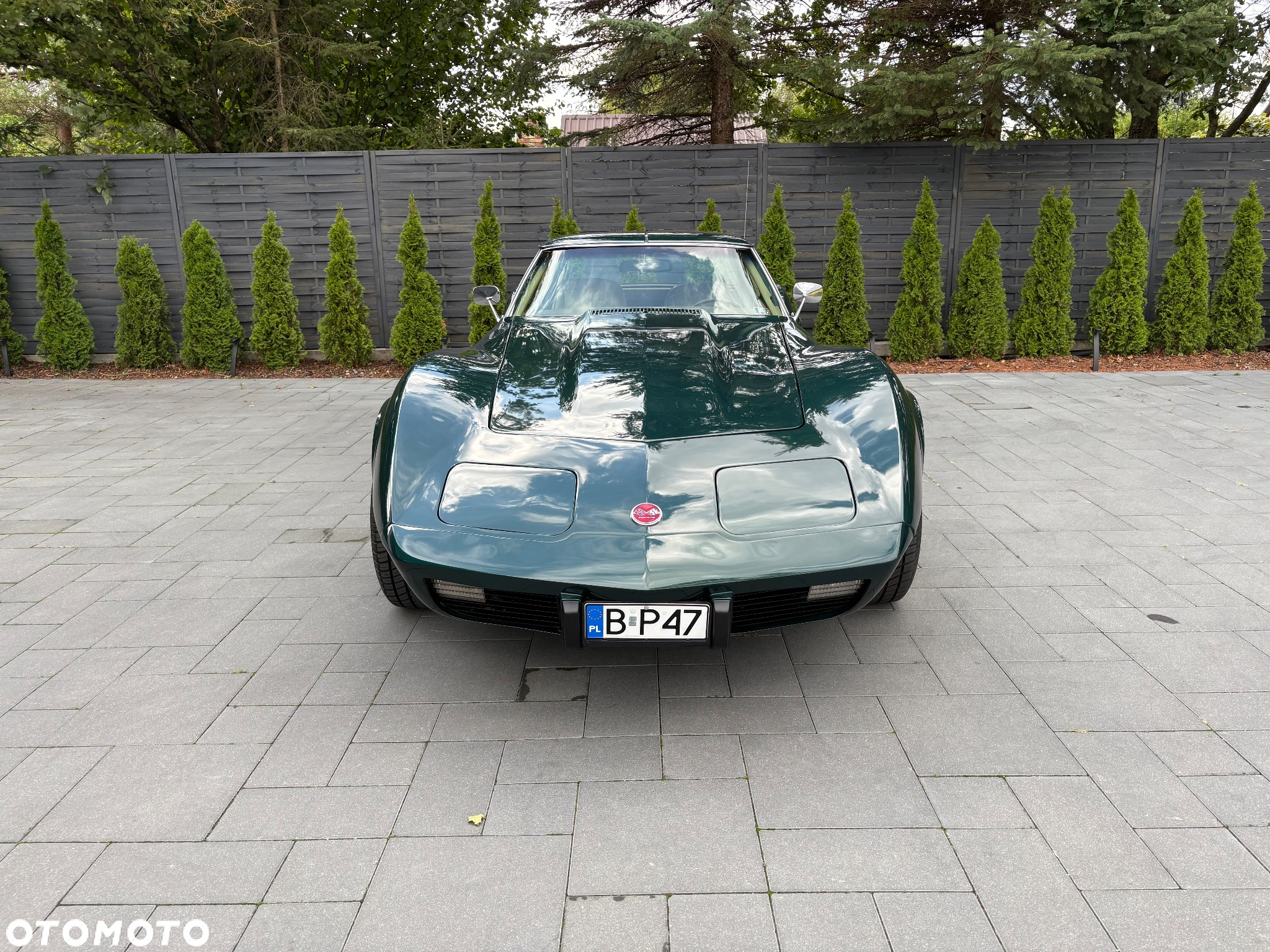 Chevrolet Corvette - 9