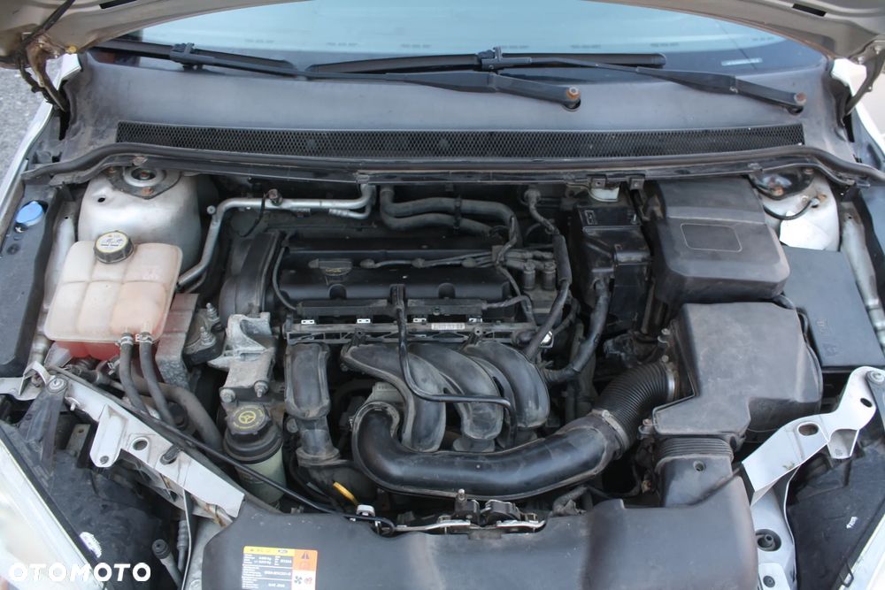 Ford Focus 1.6 16V Ghia - 25
