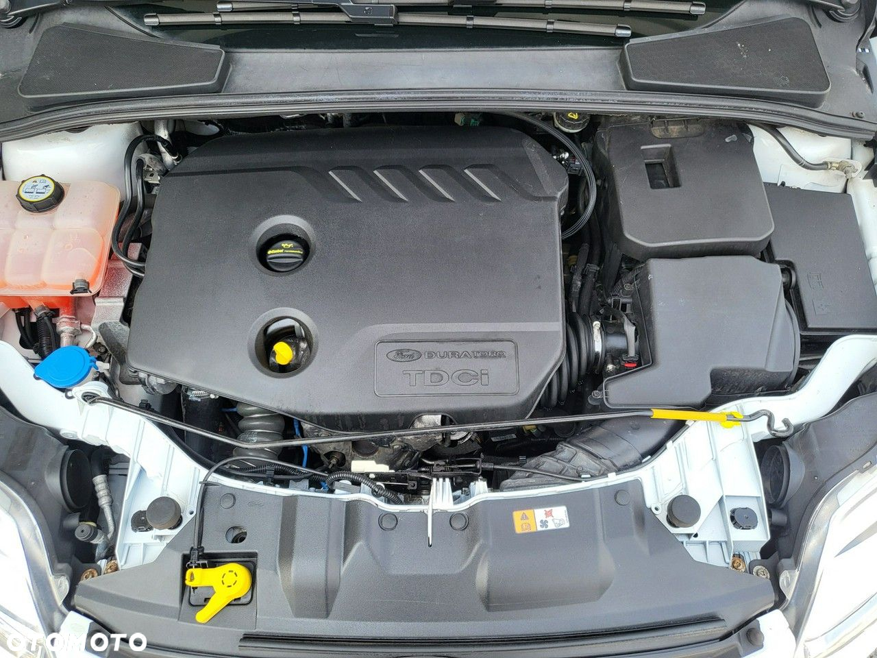 Ford Focus - 27