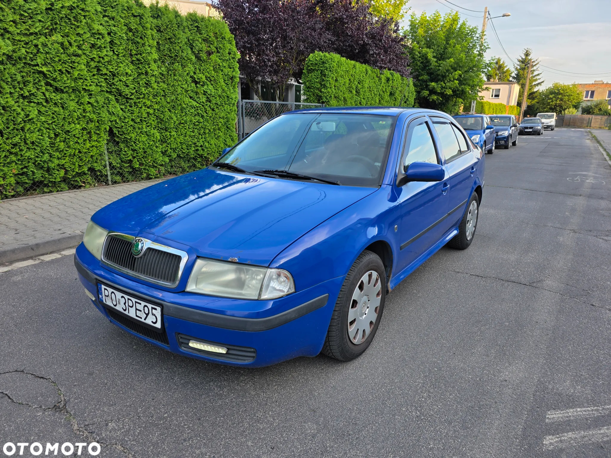 Skoda Octavia 1.6 Ambition - 2