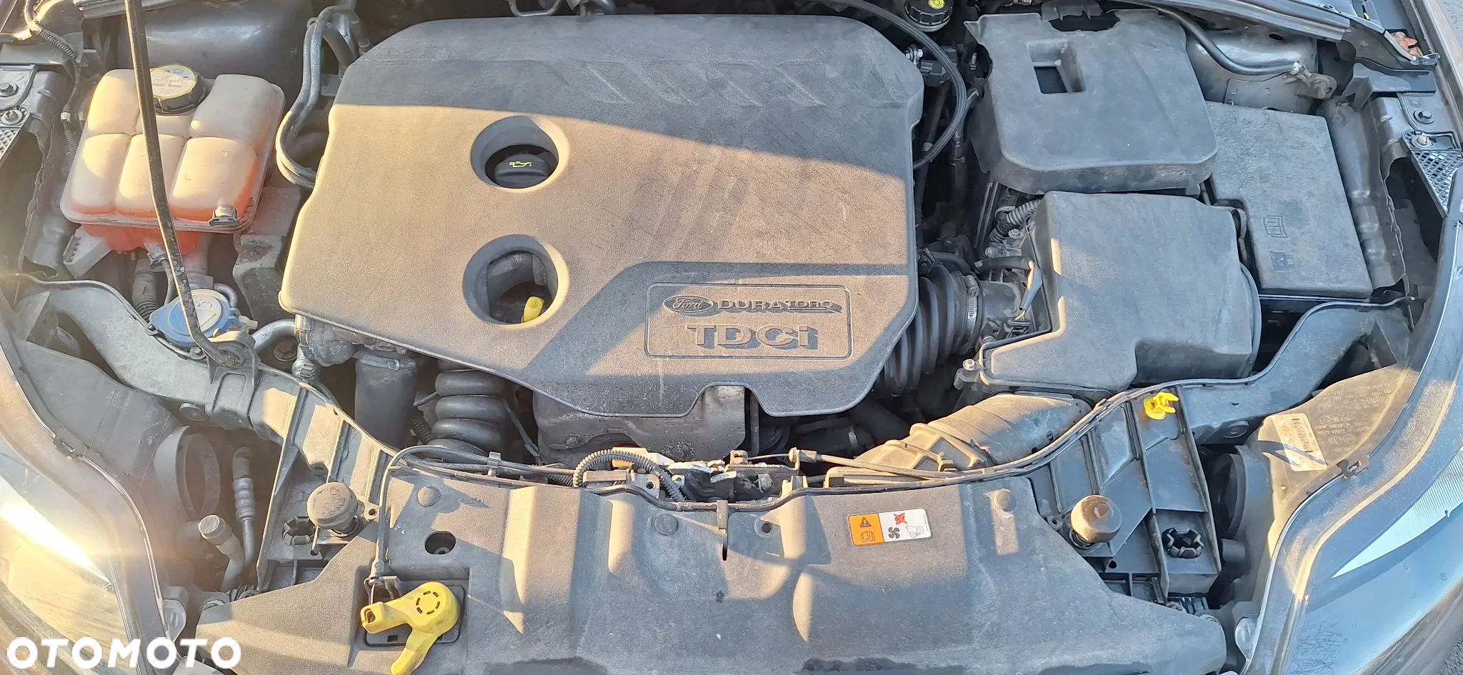 Ford Focus - 15