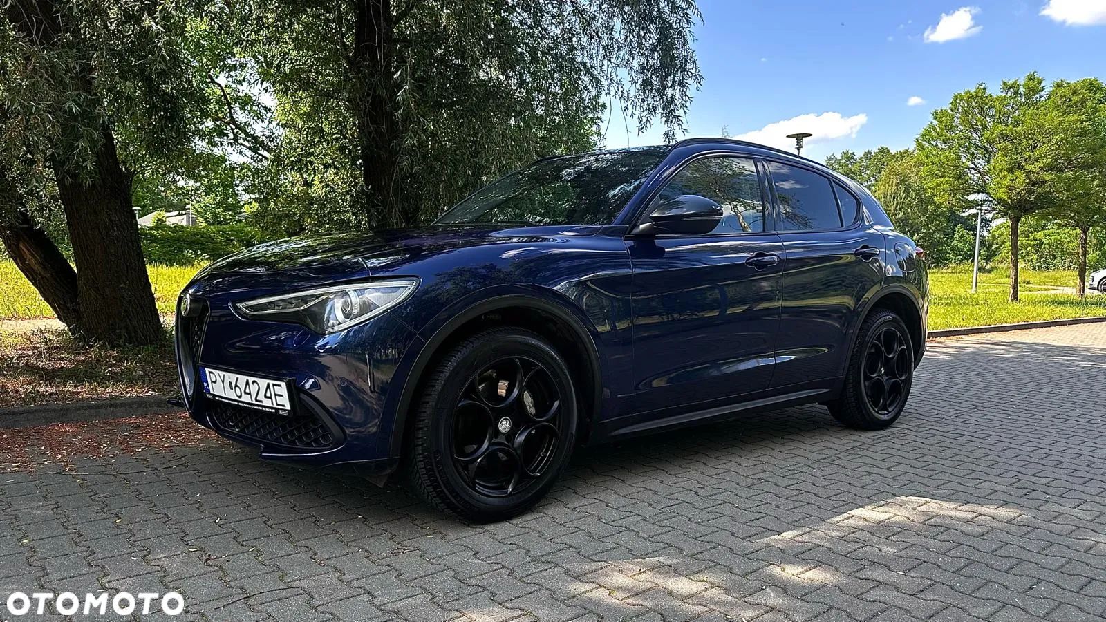 Alfa Romeo Stelvio 2.0 Turbo 16V AT8-Q4 Veloce - 1