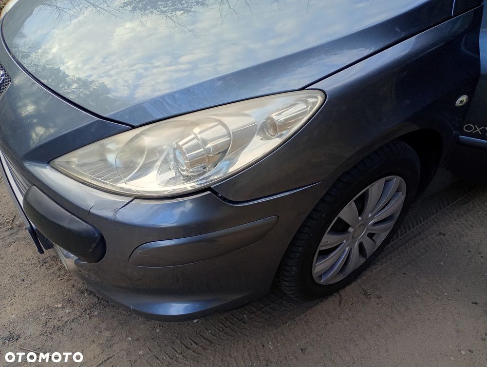 Peugeot 307 1.6 Oxygo - 9