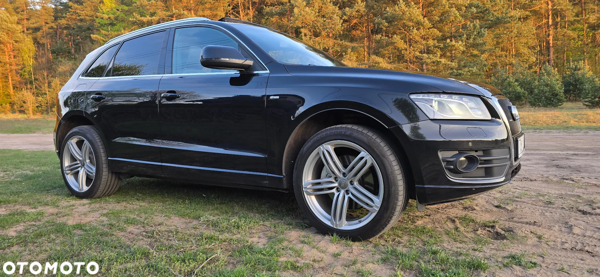 Audi Q5 3.0 TDI Quattro S tronic - 31