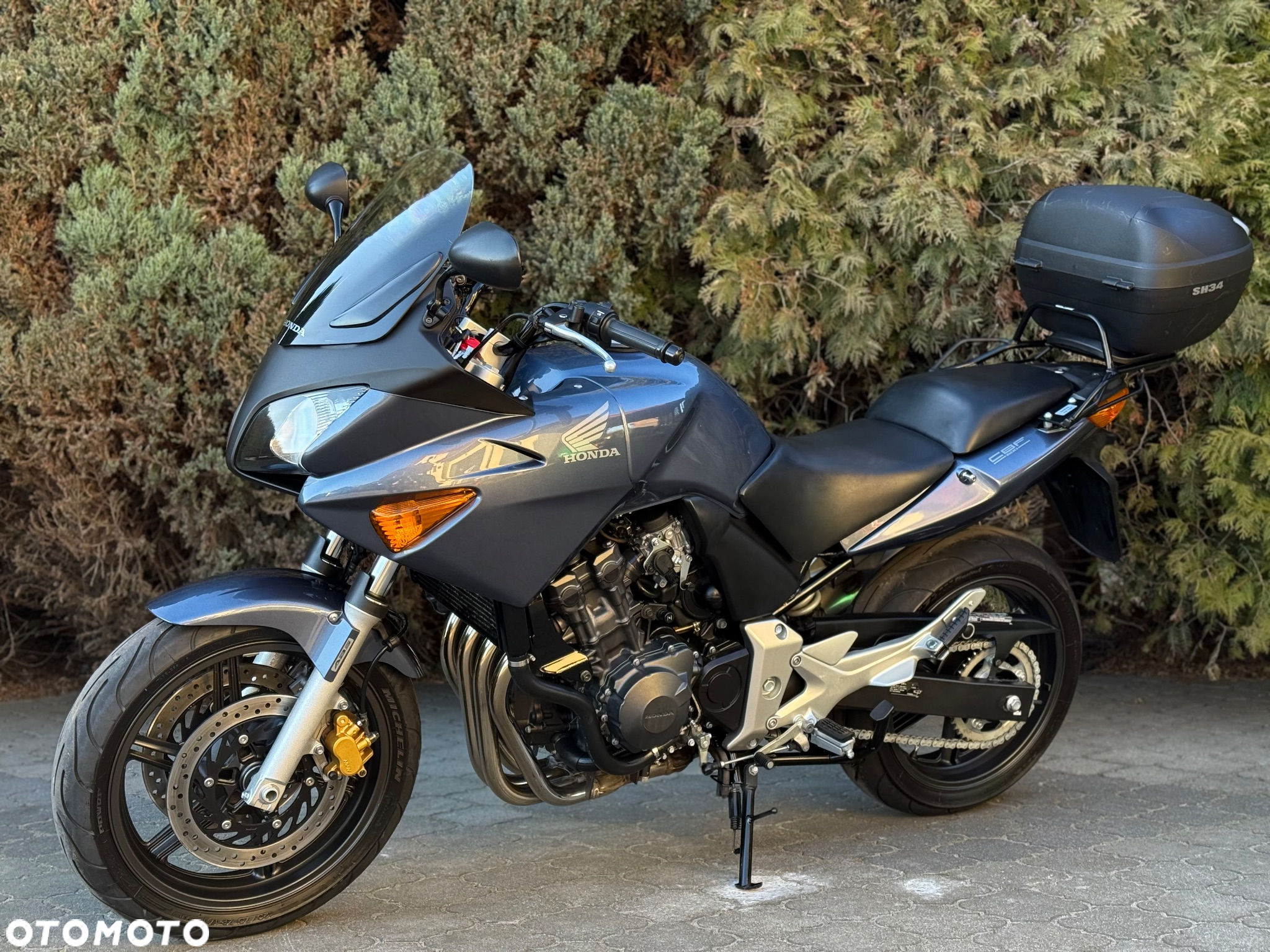 Honda CBF - 7