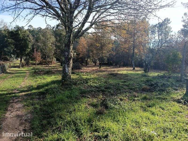 Vende-se quinta Cabeçudo, Sertã - Grande imagem: 3/12