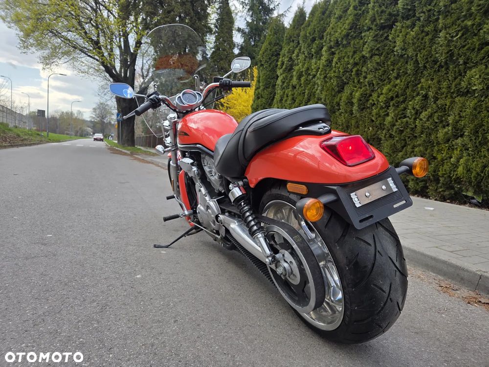 Harley-Davidson Softail V-Rod - 8