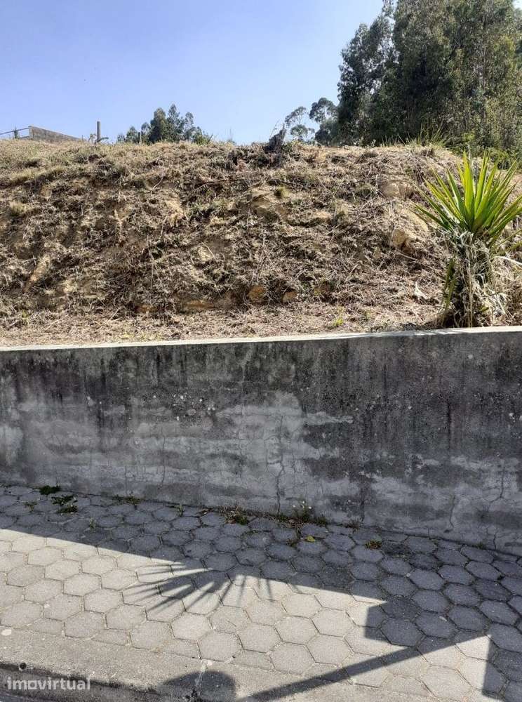 Terreno Urbano em Sanguedo com 4600 m2 - Grande imagem: 3/7