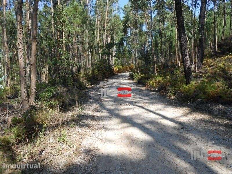 Terreno boa localização Ourem - Grande imagem: 2/7