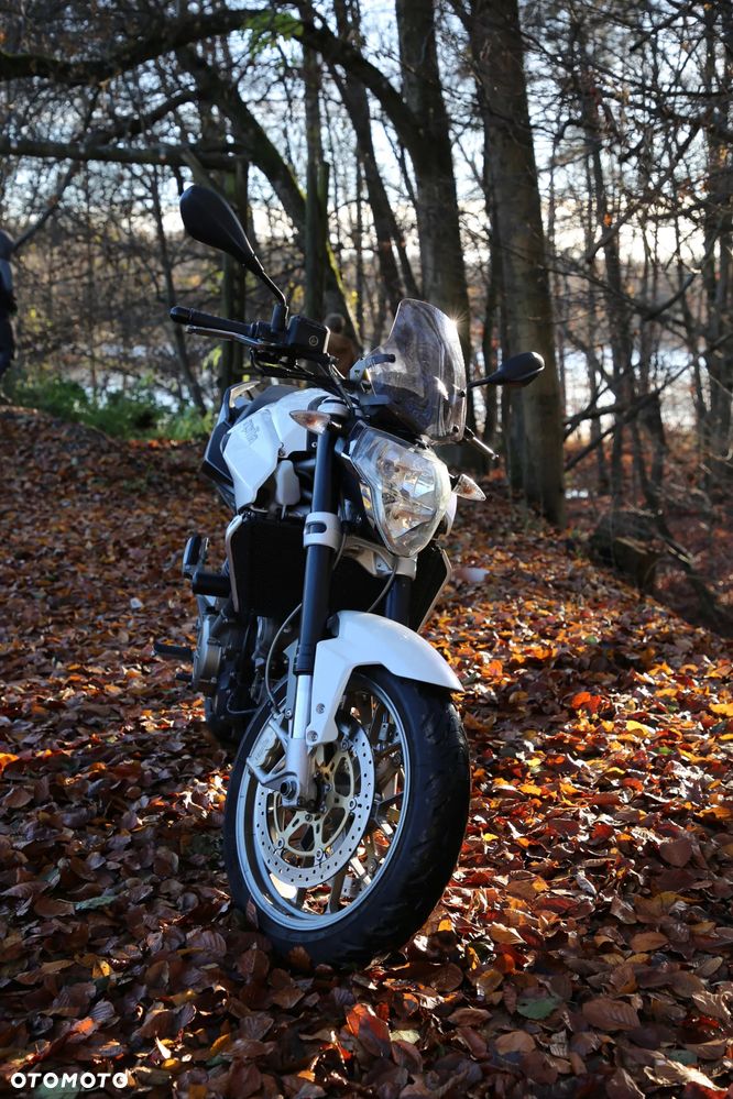 Aprilia Shiver - 5