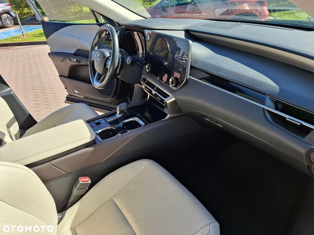 Lexus RX - 19
