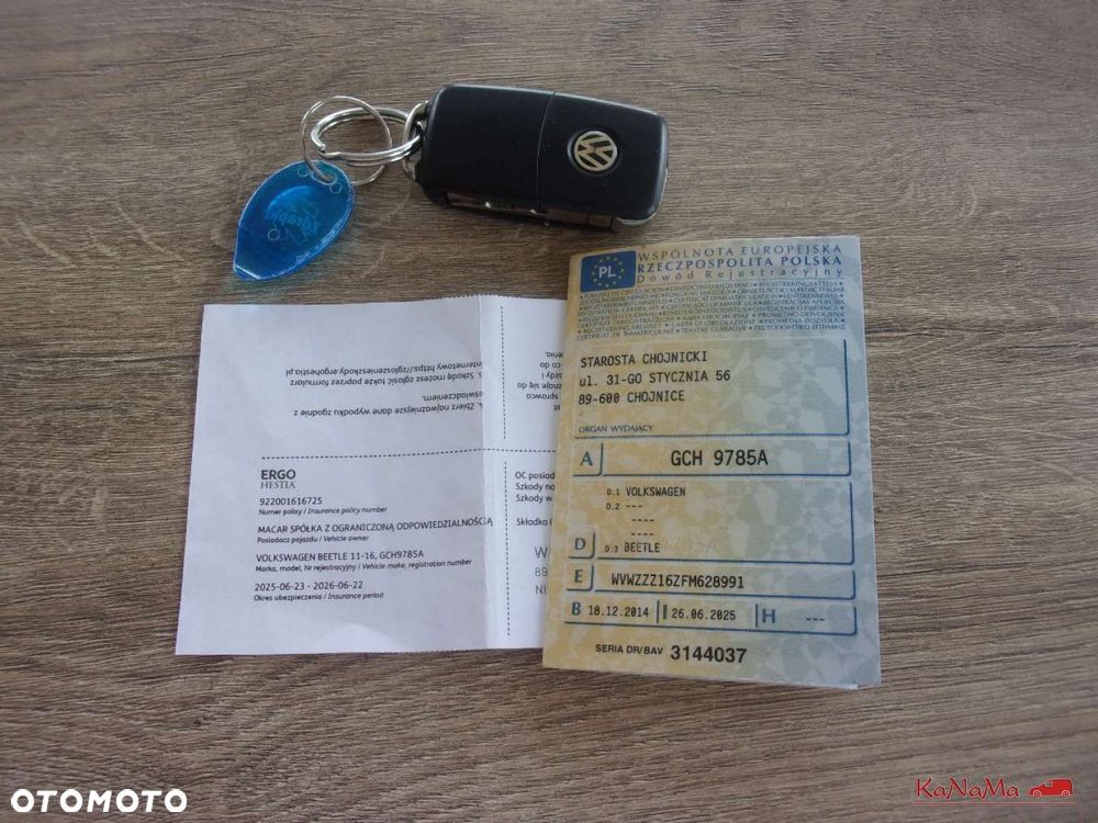 Volkswagen Beetle - 38