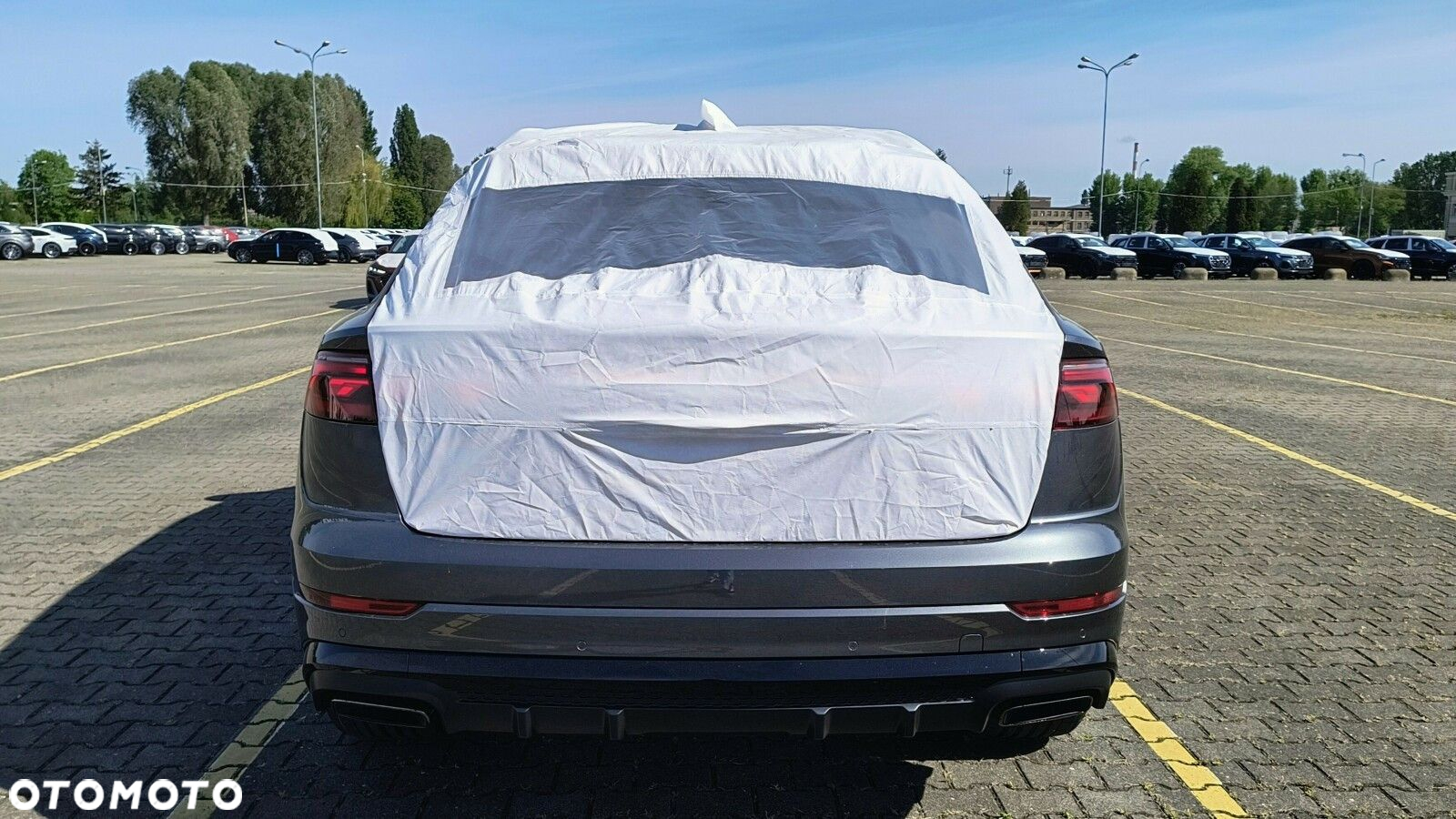 Audi Q8 - 18