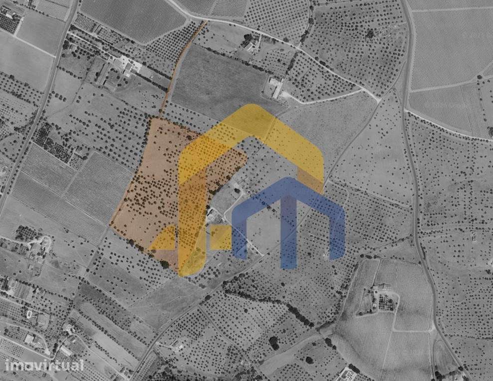 Quintinha com ruína para reconstrução em Redondo - Grande imagem: 3/26