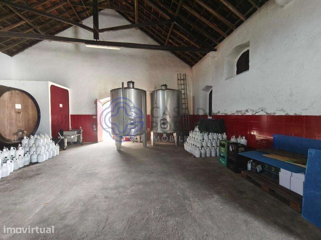 Adega/Armazém em Torres Vedras - Grande imagem: 4/15