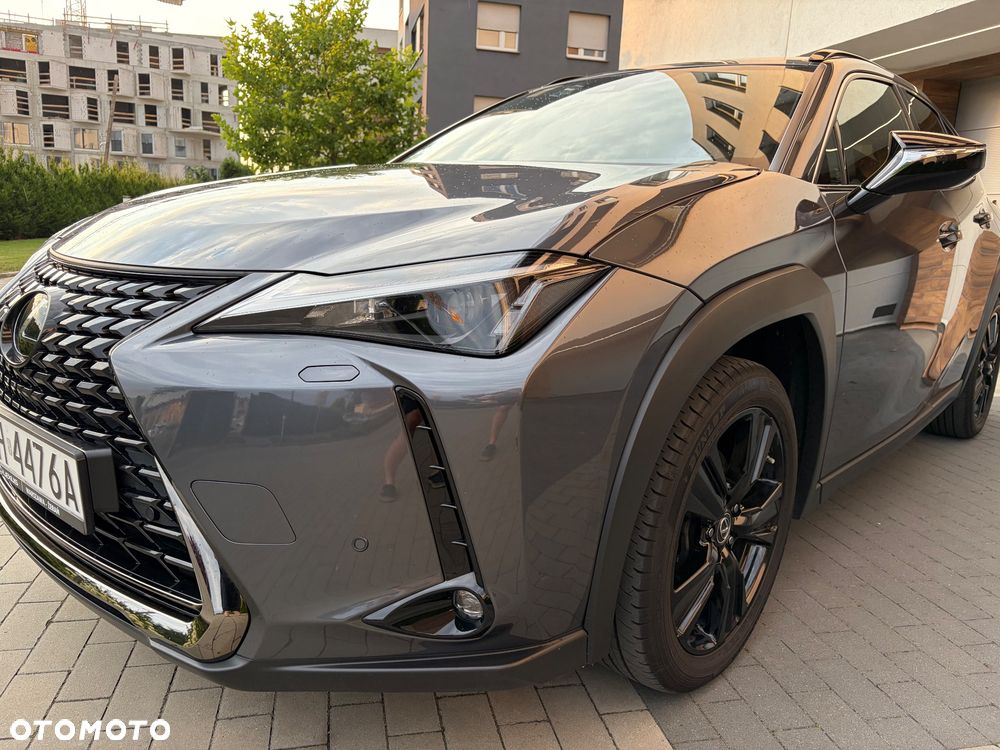 Lexus UX - 29