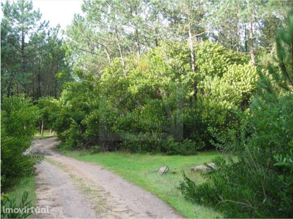 Terrenos, na Torreira, Murtosa - Grande imagem: 5/7