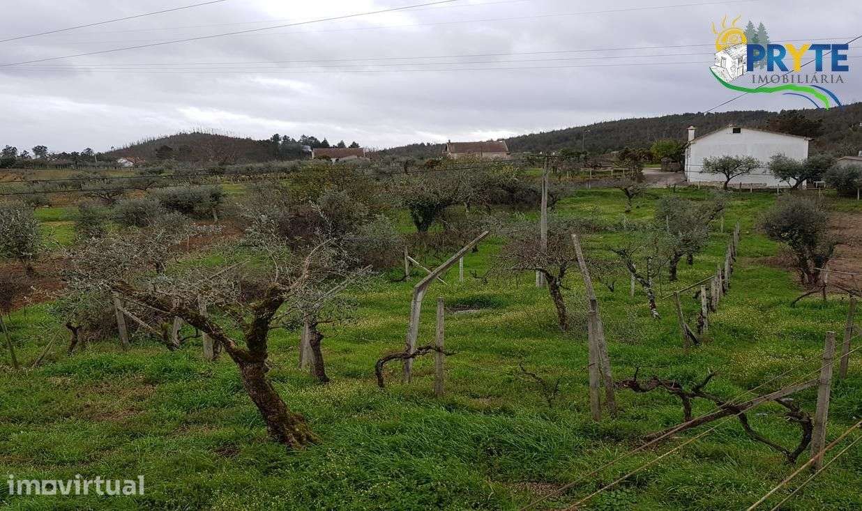 Moradia T3 no Outeiro do Pampilhal - Cernache do Bonjardim - Grande imagem: 3/25