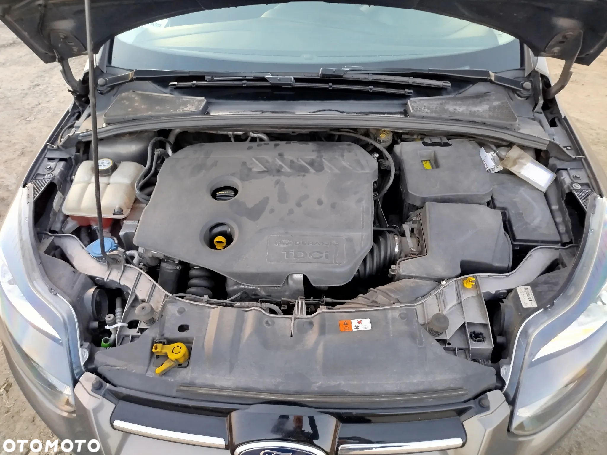 Ford Focus - 10