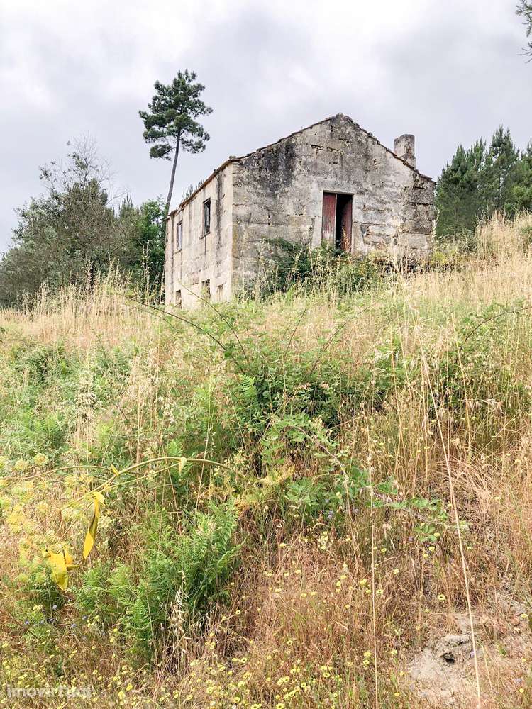 Quinta na Serra - um verdadeiro refúgio no meio da natureza! - Grande imagem: 3/6