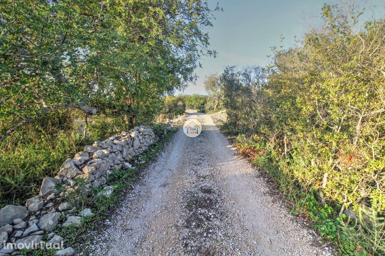 Terreno Rústico Benatrite - Faro 1480 M2 - Grande imagem: 2/31